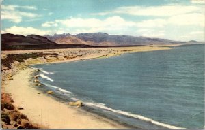 Pyramid Lake Nevada NV Beach Desert Country Postcard VTG UNP 76 Union Vintage  