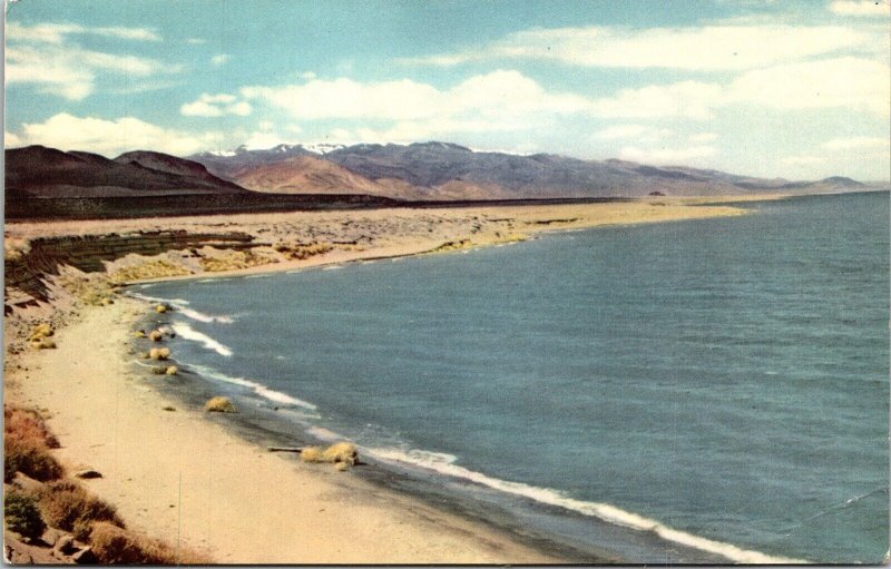 Pyramid Lake Nevada NV Beach Desert Country Postcard VTG UNP 76 Union Vintage  