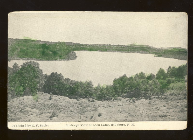 Hillsboro, New Hampshire/NH Postcard, Birds-Eye View Of Loon Lake