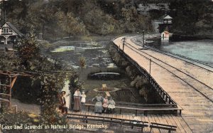 Natural Bridge Kentucky Lake And Grounds Scene, Color Lithograph Postcard U8324