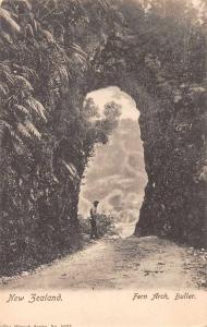 Fern Arch New Zealand Buller Scenic View Antique Postcard J45982 