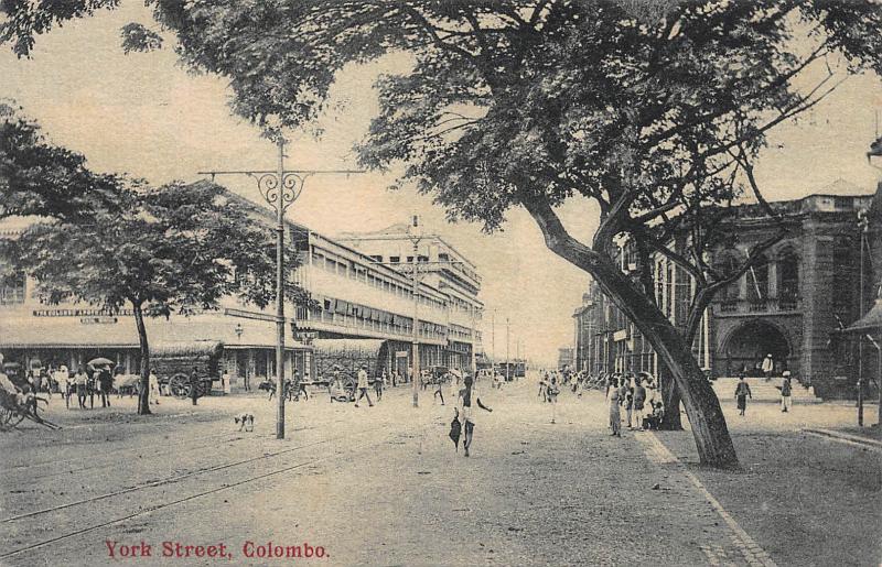 York Street, Colombo, Ceylon, early postcard, unused