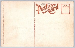 K48/ Lakeside Ohio Postcard c1910 New Pavilion Dock Pier Crowd 383