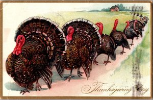 Tucks 123 Thanksgiving Turkeys Marching in a Line Embossed c1908 Postcard N64