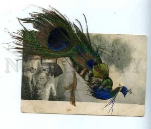 3052680 PEACOCK on Tree Vintage Real Feathers RARE