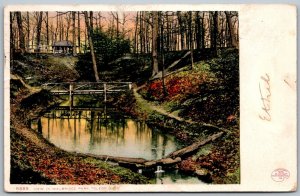 Toledo Ohio 1907 Postcard View In Walbridge Park Rustic Bridge