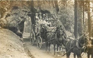 Yosemite National Park, RPPC, Wawona Tree Stagecoach, Mariposa Grove