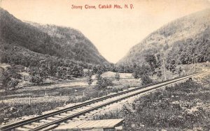 Stony Clove New York Catskill Mts Railroad Scene Vintage Postcard AA109963