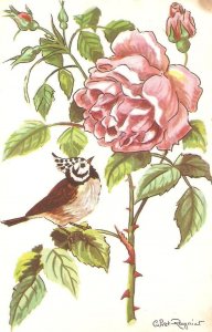 Flower. Rose des Indes and Bird Beautiful French card, artist signed