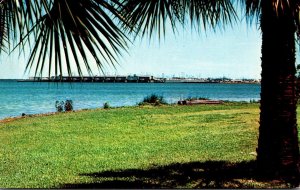 Florida Green Cove Springs Scenic View Of Naval Shipyard