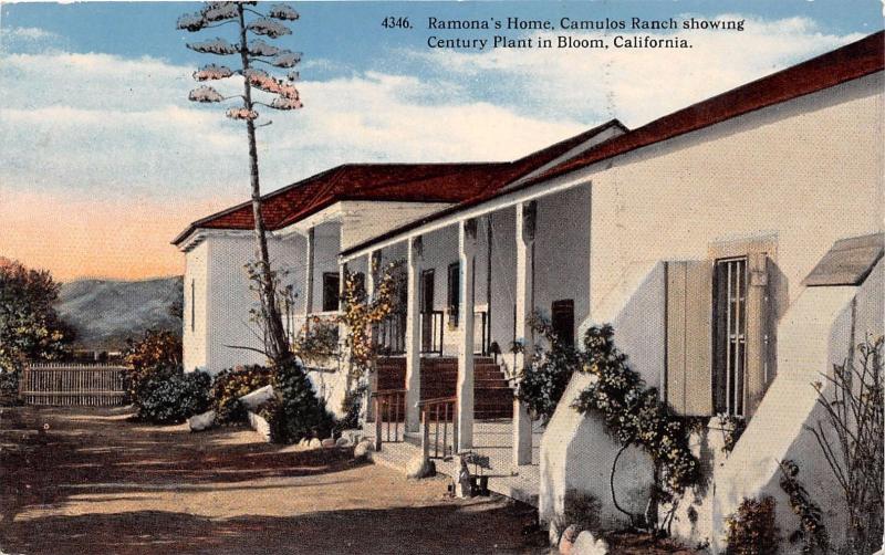 CUMULOS RANCH CALIFORNIA RAMONA'S HOME CHOWING CENTURY PLANT POSTCARD c1910s