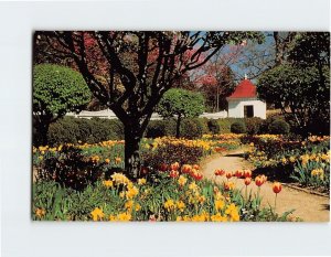 Postcard The Upper Garden, Mount Vernon, Virginia