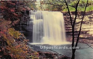 Harrison Wright Falls - Ricketts Glen State Park, Pennsylvania