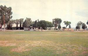 DEMING, NM New Mexico  MUNICIPAL GOLF COURSE  Luna County  1966 Chrome Postcard