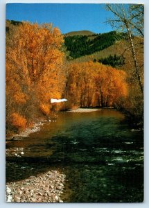 Ketchum Idaho ID Postcard Autumn Aspen Leaves Big Wood River 1994 Vintage Posted