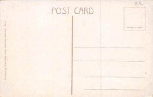 Royal Poinciana Tree Bermuda Postcard