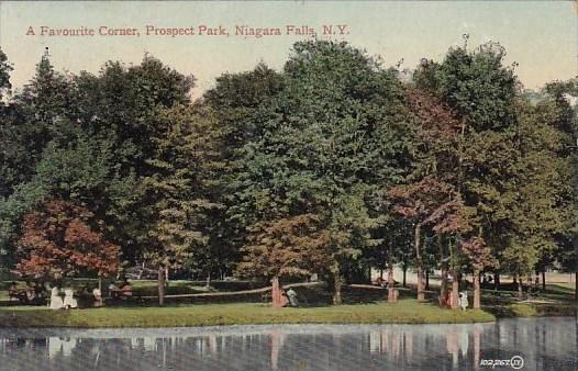 New York Nagara Falls A Favourite Corner Prospect Park