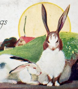 Easter Greetings 1910-21 Postcard Springtime Rabbits Farm Sunrise Scene PCBG6E