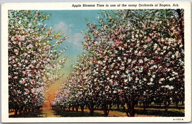 Rogers Arkansas AR, Apple Blossom Time in one of The Many Orchards, Postcard