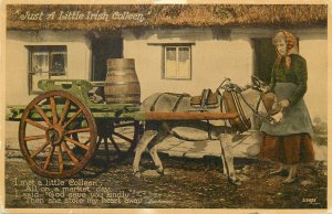 Ancient means of transport Ireland  Just a Little Irish Collen  donkey cart