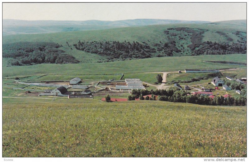 The Beautiful Deer Springs Ranch, Calgary,  Alberta,   Canada,  40-60s