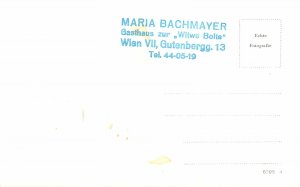 Austria Wien Gasthaus zur Witwe Bolte Maria Bachmayer interior detail Postcard 