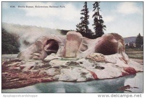 Wyoming Yellowstone National Park Grotto Geyser