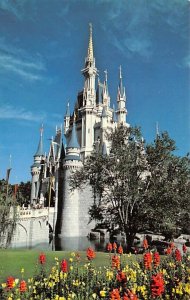 Cinderella Castle fantasyland Disneyland, CA, USA Disney Unused 