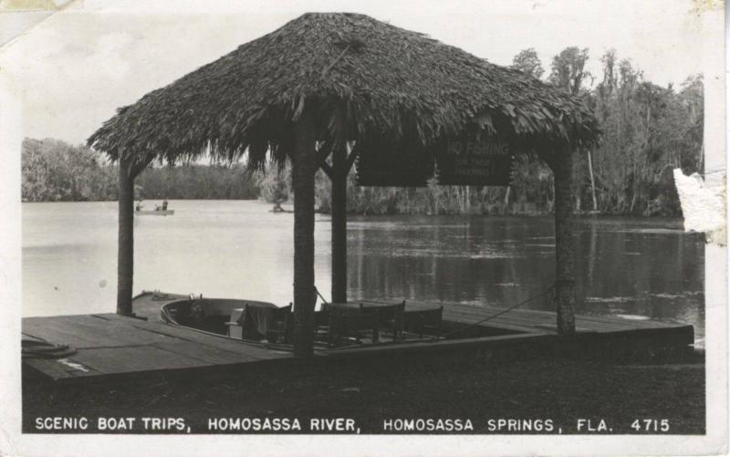 Homosassa Springs FL Florida, Homosassa River, Scenic Boat Trips, RPPC Postcard