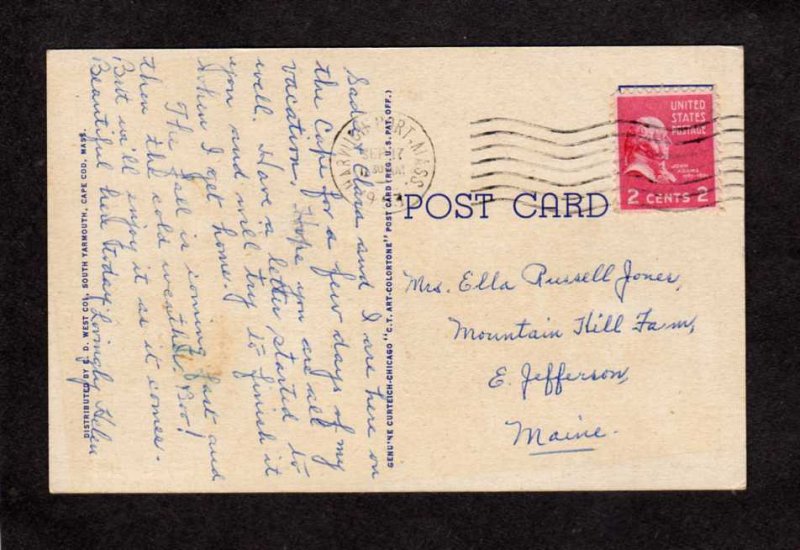 MA Picking Harvesting Cranberries on Cape Cod Mass Massachusetts Postcard