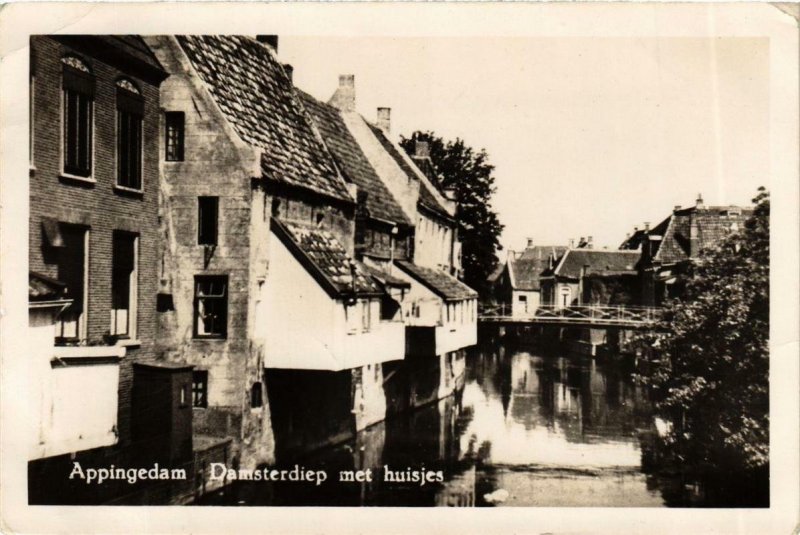 CPA AK APPINGEDAM Damsterdiep met Huisjes NETHERLANDS (705978)