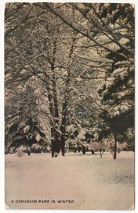 A Canadian Park In Winter, Antique Warwick Bro's & Rutter Postcard