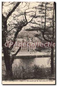 Postcard Old Chateaulin the City Hall framed by old trees du Chateau
