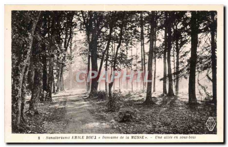 Old Postcard Sanatoriums Emile Roux Domaine de la Musse A driveway in the woods