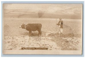 c1920's A Palestine Plowman Cow Field Farmer RPPC Photo Vintage Postcard 