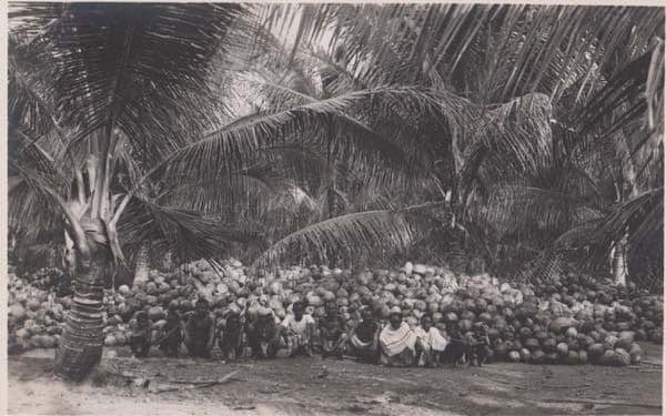 Singapore Group Of Natives Vegetable Tribe Fruit Farm WW2 Real Photo Postcard