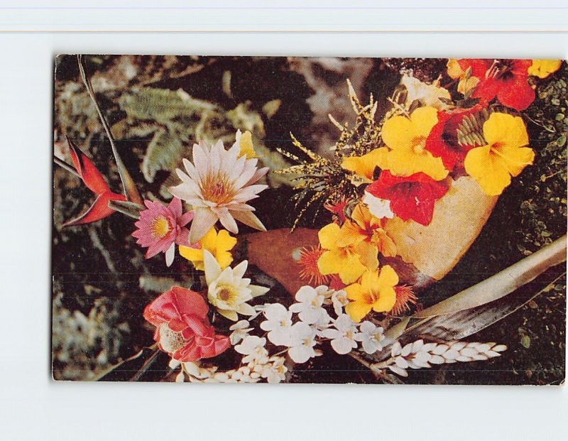 Postcard Group of Island Flowers, Hawaii