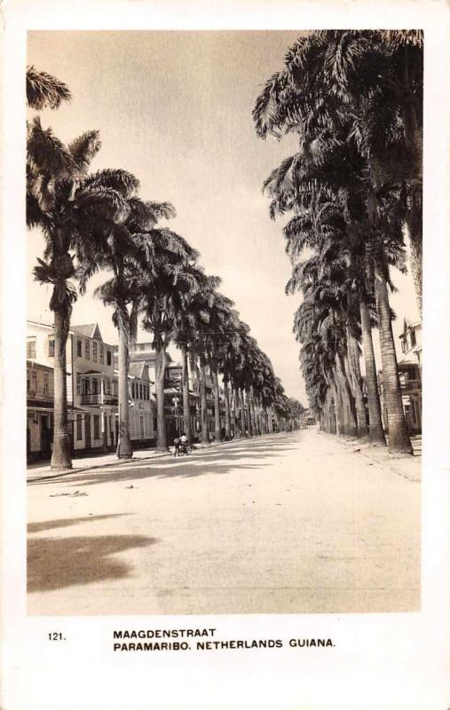 Paramaribo Suriname Netherlands Guiana Street Scene Real Photo Postcard J68869