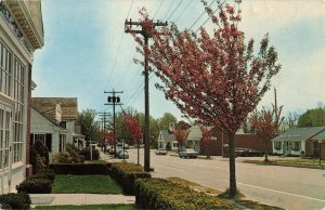 1969 Main Street View Orleans Cape Cod Mass. Postcard 2R3-62 