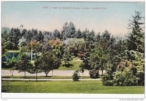 TACOMA, Washington, 1900-1910's; View In Wright's Park