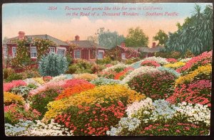Vintage Postcard 1911 Road of a Thousand Wonders, Southern California (CA)