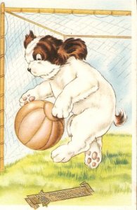 Animals. Soccer dog with ball Humorous old vintage Belgian postcard