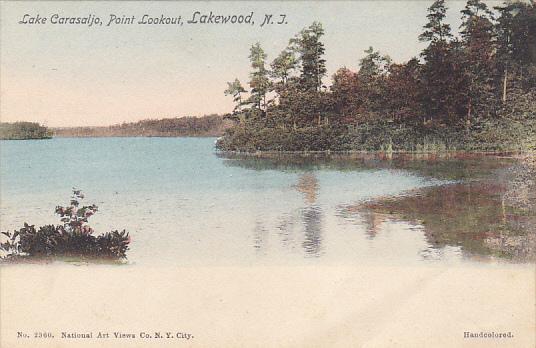 New Jersey Lakewood Lake Carasaljo Point Lookout