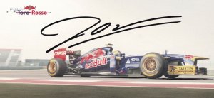 Jean Vergne Red Bull F1 Motor Racing Grand Prix Hand Signed Photo