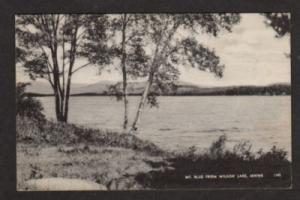 ME View Mt Blue Wilson Lake WELD MAINE Postcard PC