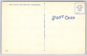 Lackawanna County Courthouse Scranton Pennsylvania PA Pathway Trees Postcard