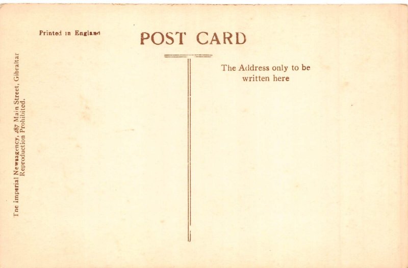 A848 Gibraltar The Rock Galleries vintage postcard