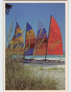 Postcard Sailboats And Sea Oats, Sarasota, Florida