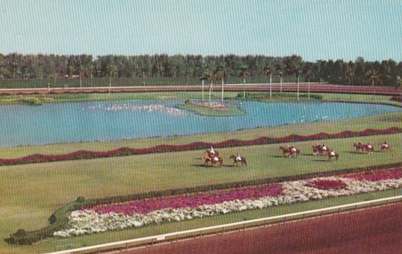 Florida Miami Horses Parading To The Post Hialeah Race Course 1955