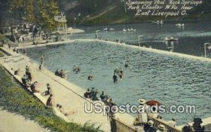 Swimming Pool, Rock Springs Park - Chester, West Virginia